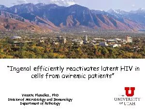 Ingenol efficiently reactivates latent HIV in cells from aviremic pati