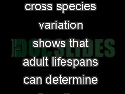 successful model for explaining this cross species variation shows that adult lifespans