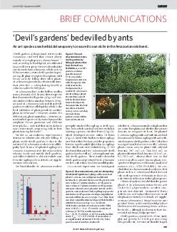 Vol   September   Devils gardens bedevilled by ants An