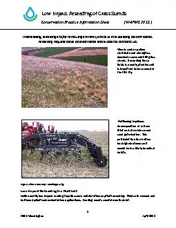 Low Impact Reseeding of Grass Stands