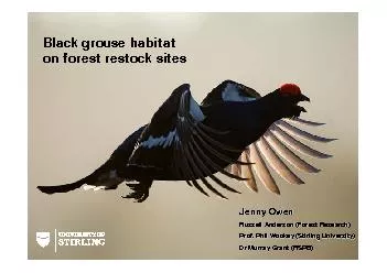 Black grouse habitat on forest restock sites