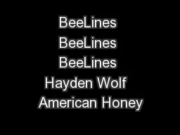 BeeLines BeeLines BeeLines Hayden Wolf  American Honey