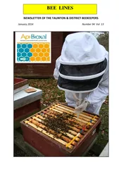NEWSLETTER OF THE TAUNTON  DISTRICT BEEKEEPERS January