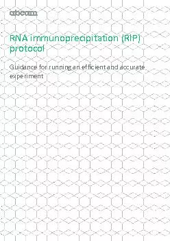 RNA immunoprecipitation (RIP)