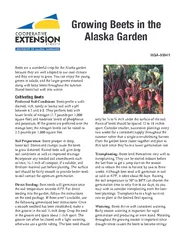 Growing Beets in the Alaska Garden Cultivating Beets J