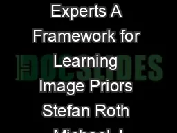 Fields of Experts A Framework for Learning Image Priors Stefan Roth Michael J