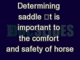 Determining saddle t is important to the comfort and safety of horse