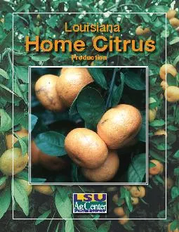 Introduction Citrus should be included in all home orchards and landsc