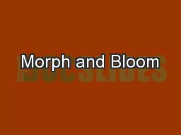 Morph and Bloom