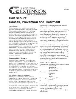Causes, Prevention and TreatmentIntroductionCalf scours causes more fi