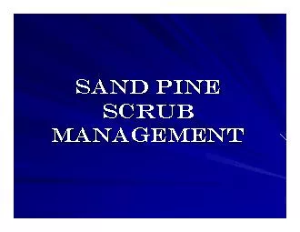 Sand Pine Sand Pine Scrub Scrub ManagementManagement