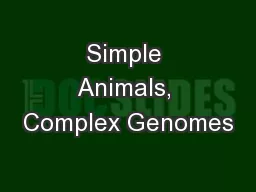 Simple Animals, Complex Genomes