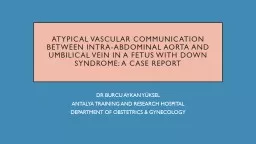 ATYPICAL VASCULAR COMMUNICATION BETWEEN INTRA-ABDOMINAL AOR