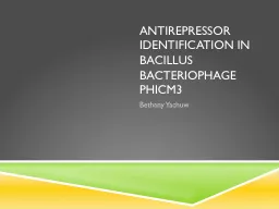 Antirepressor identification in bacillus bacteriophage phic