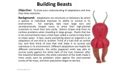 Building Beasts