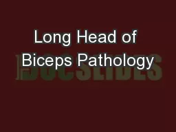 Long Head of Biceps Pathology