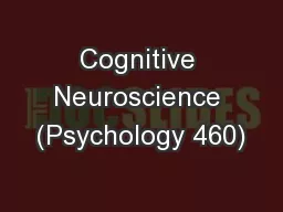 Cognitive Neuroscience (Psychology 460)