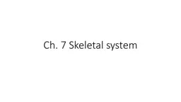 Ch. 7 Skeletal system