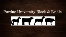 Purdue University Block & Bridle