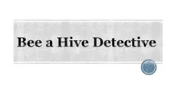 Bee a Hive Detective