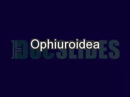 Ophiuroidea