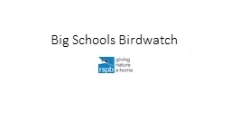 Big Schools Birdwatch