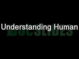 Understanding Human