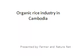 Organic rice industry in Cambodia