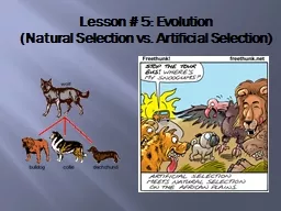 Lesson # 5: Evolution