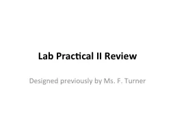 Lab Practical II Review
