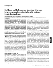 Colloquium Bad bugs and beleaguered bladders Interplay