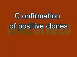 C onfirmation of positive clones