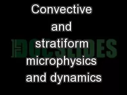 Convective and stratiform microphysics and dynamics