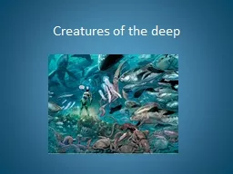 Creatures of the deep