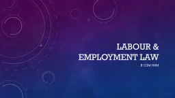 Labour & employment law