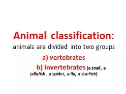 Animal classification: