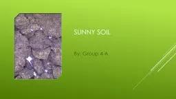 Sunny soil