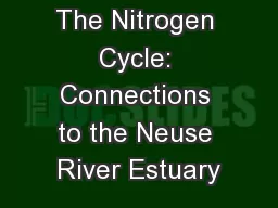 The Nitrogen Cycle: Connections to the Neuse River Estuary
