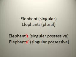 Elephant (singular)