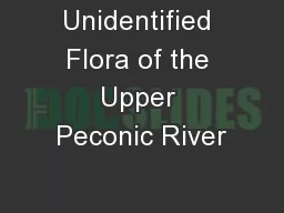Unidentified Flora of the Upper Peconic River