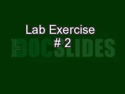 Lab Exercise # 2