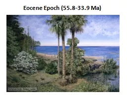 Eocene Epoch (55.8-33.9 Ma)