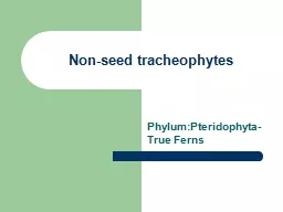 Non-seed tracheophytes