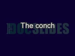 The conch