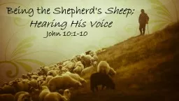 Being the Shepherd's