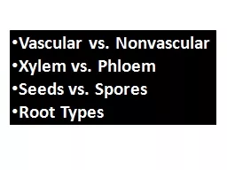 Vascular vs. Nonvascular