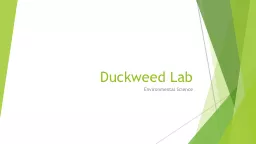 Duckweed Lab