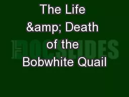 The Life & Death of the Bobwhite Quail