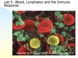 Lab 5 –Blood, Lymphatics and the Immune Response
