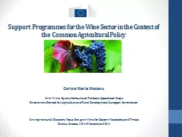 Support Programmes for the Wine Sector in the Context of th